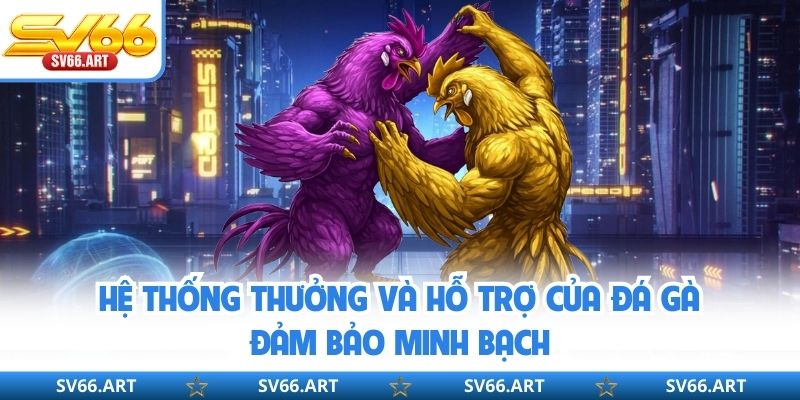 Hệ thống thưởng và hỗ trợ của đá gà đảm bảo minh bạch