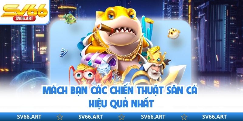 Mách bạn các chiến thuật săn cá hiệu quả nhất